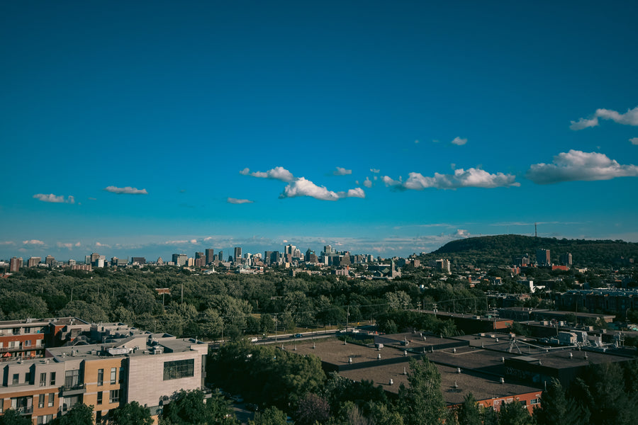 Incinérateur des Carrières